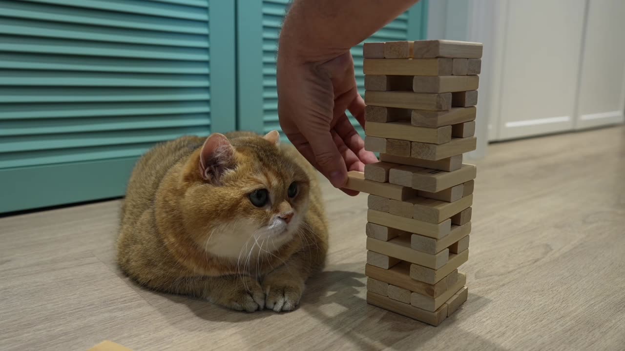 Jenga