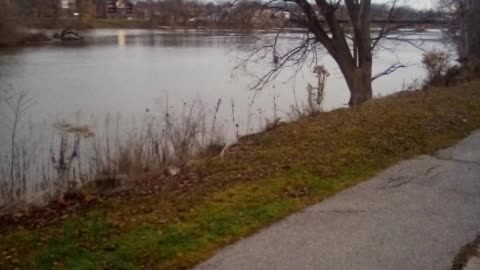 Walk
