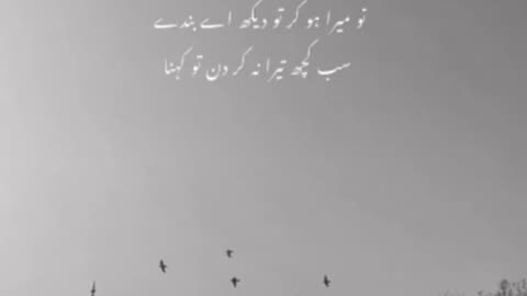 Quran Translation | Allah says | Halal Acts