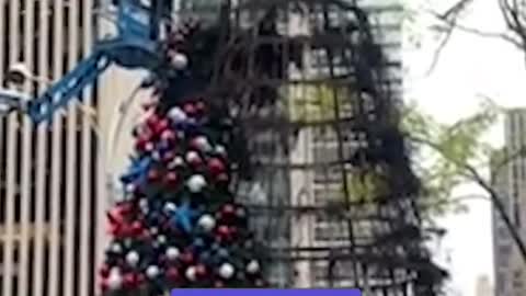 A giant Christmas tree outside Fox News headquarters was set on fire.