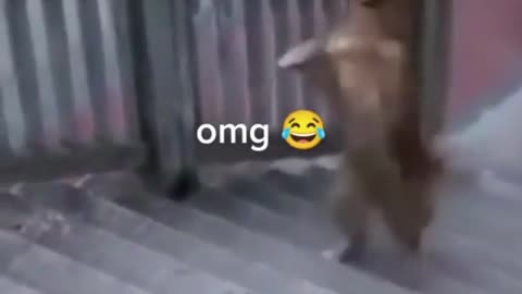 Going with two? Why not!