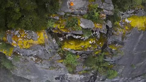 The beauty of the earth 🌎