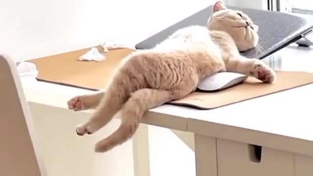 take a short break after work joking all day