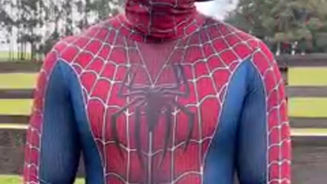 Spider-man brazilian