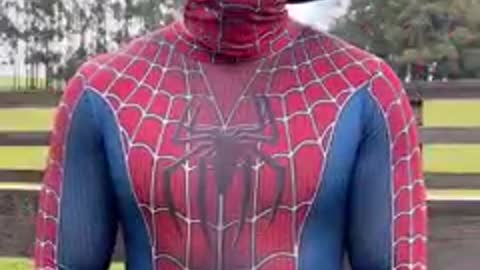 Spider-man brazilian