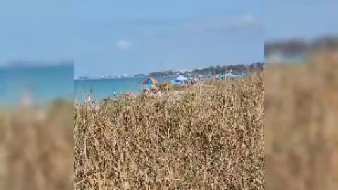 Sarasota Florida