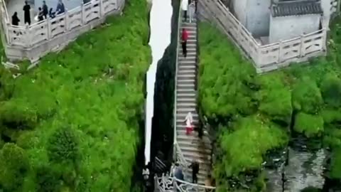 Mountain View Nature
