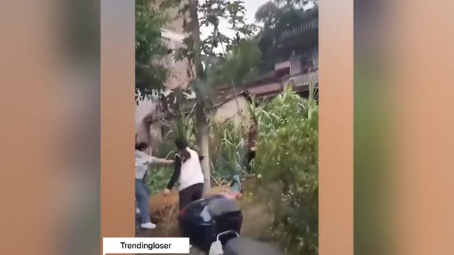 Comedy of daily