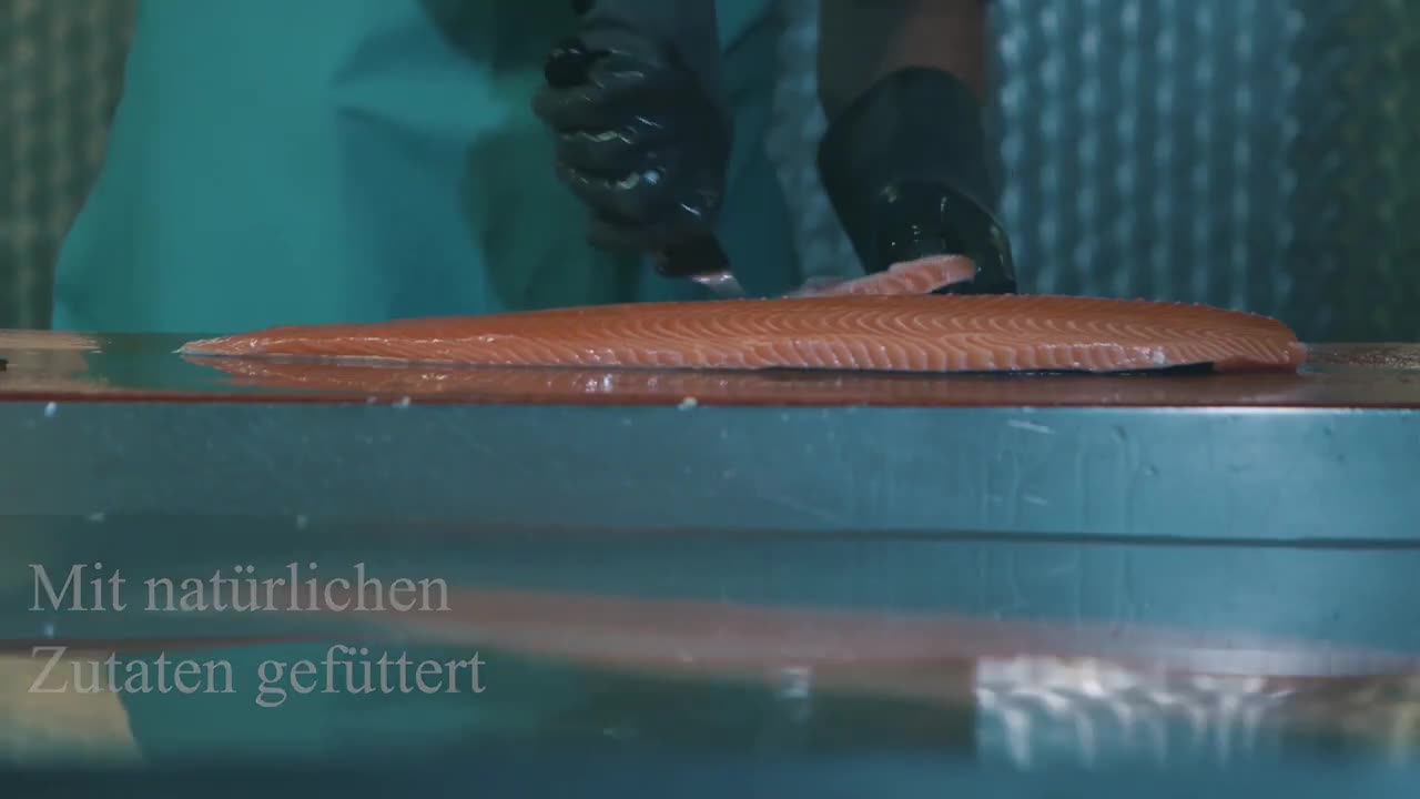 Irish Organic Salmon Video 20 second