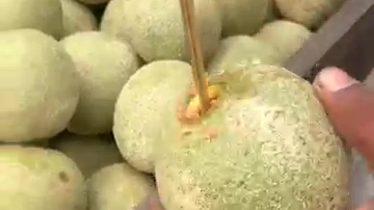 Bel