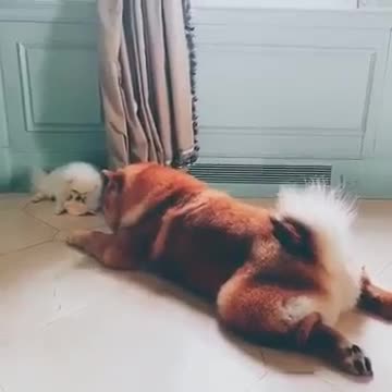 UDQkCENxPZNmYhUSGkXhqG