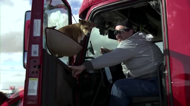 U.S. trucker convoy heads to protest in D.C.- NEWS OF WORLD 🌏