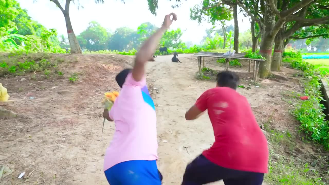Funny video