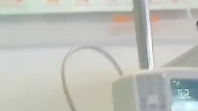 Lovely Cat, black cat, cats, funny cats, funny cat videos