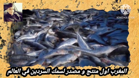#المغرب_