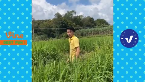 Funny and fail videos of 2023 😍cutes people doing funny things 😆😆