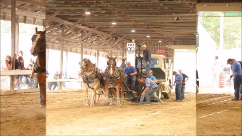 Cumberland Fair Teamsters