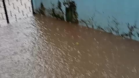 Rain ☔ day rainy day 🌧️☔🌧️☔🌧️☔😲😯🫣