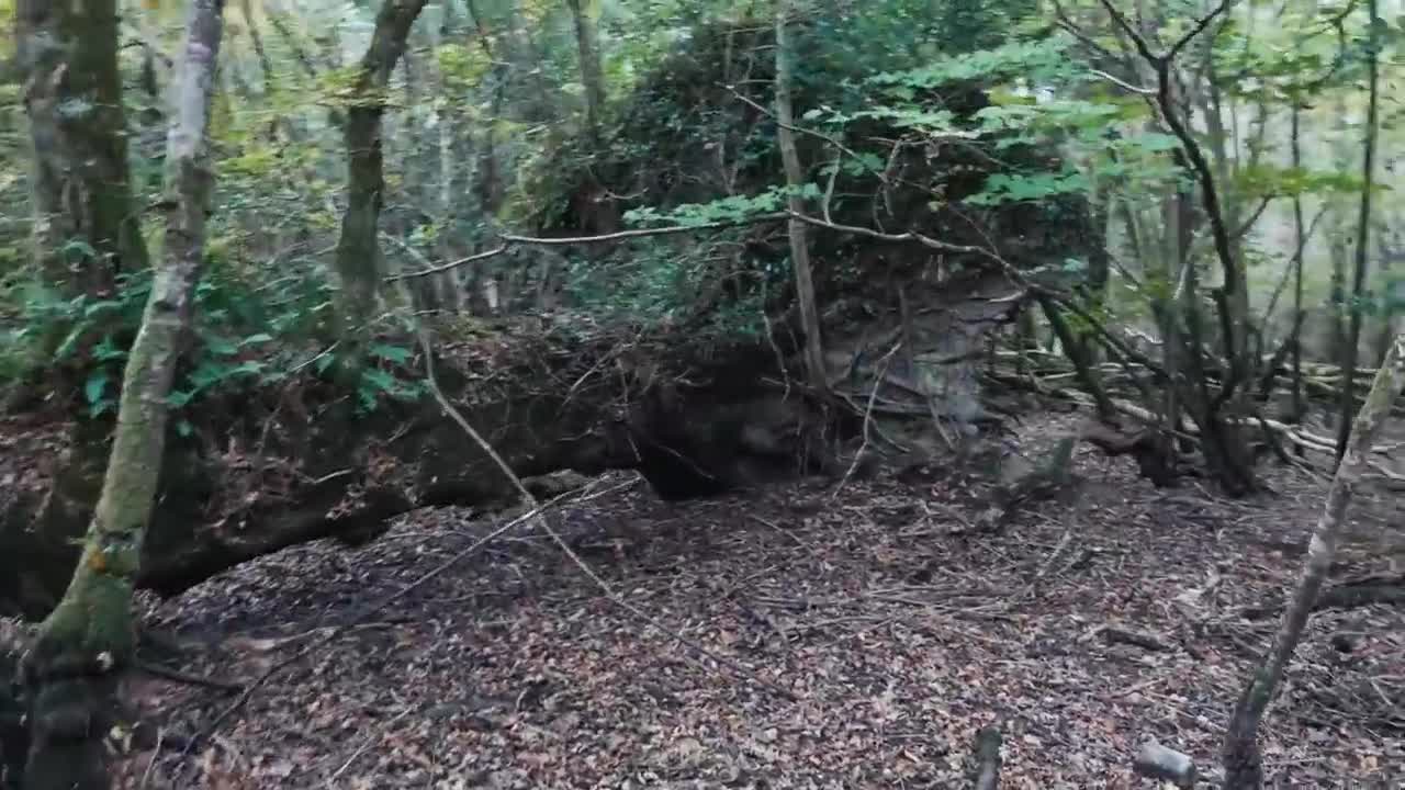 6 S1E1 SURVIVAL IN EXTREME WEATHER