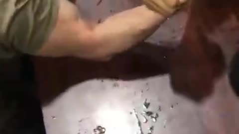 Arm Wrestling Between US Marines And Japanese Soldiers