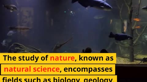 Incredible Facts