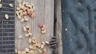 Under my deck