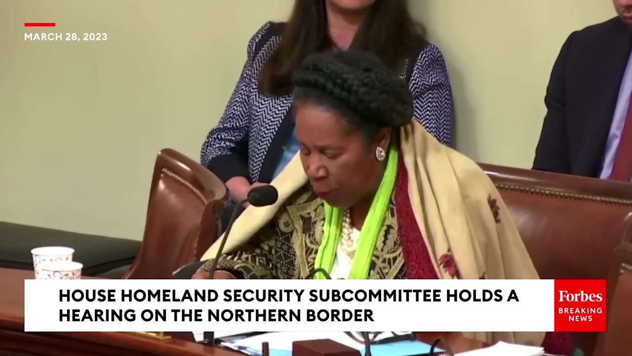 Sheila Jackson Lee Asks Witness Point Blank- Would A Decrease In Border Funding ‘Help In Any Way-’