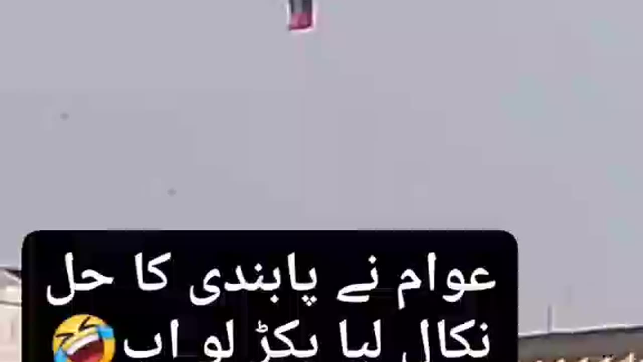 #pti spotters