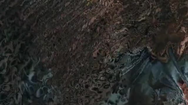 Animal world Leopard