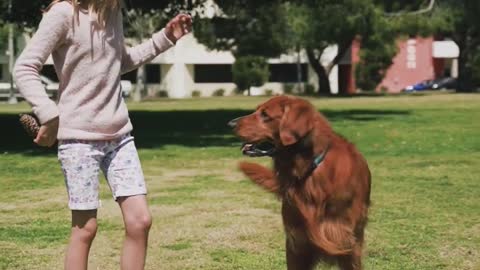 Playing with dog