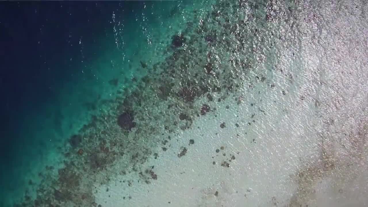 PADI Divemaster Course