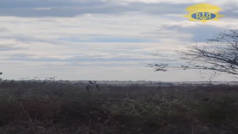 Die ukrainischen Streitkräfte haben einen russischen Mi-8-Hubschrauber in der Region Saporischschja