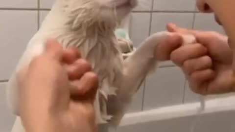 Is it obvious that this is one of her favorite activities
