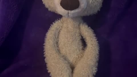 GUND Teddy Tooth Pick Bear Review