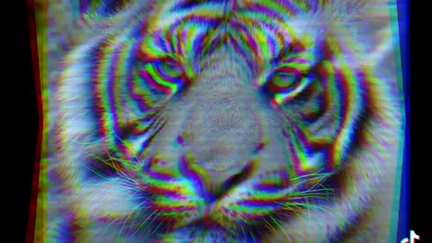 Lion Motivation Motivational Quotes