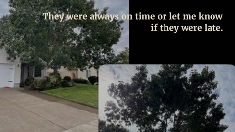 Trees and All