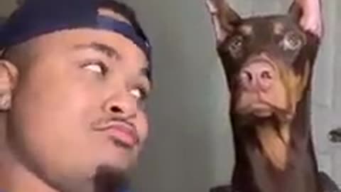 Dog challenge 🐶/ réaction