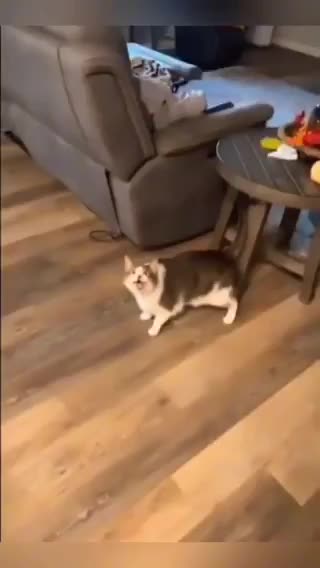 He doesn’t like to be recorded…