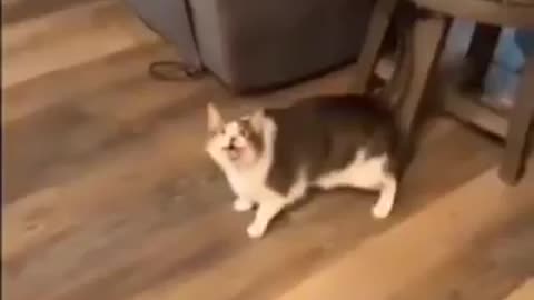 He doesn’t like to be recorded…