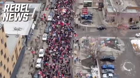 Calgary Protest - in Solidarity with the Freedom Convoy Truckers