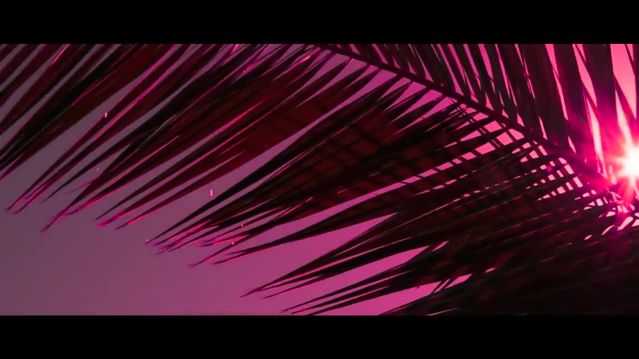 Serena - Safari (Official Video)