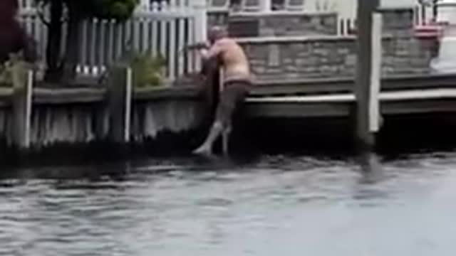 Man Jumps Into New Jersey lagoon in Toms River to Save Fawn From Drowning