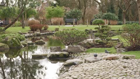 Mile End Park - The Nature of London, United Kingdom