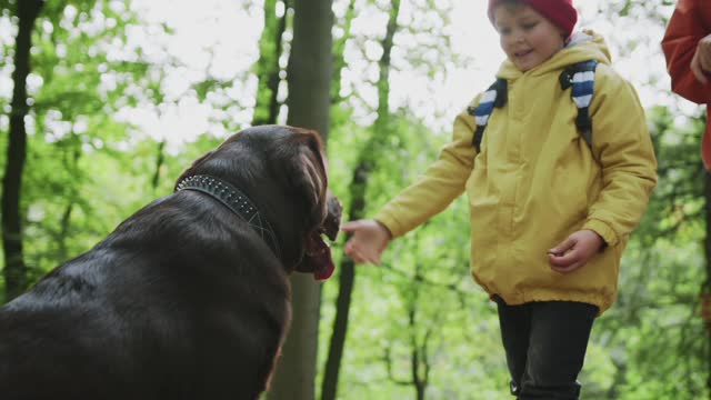 A Child Playing with His Pet Dog