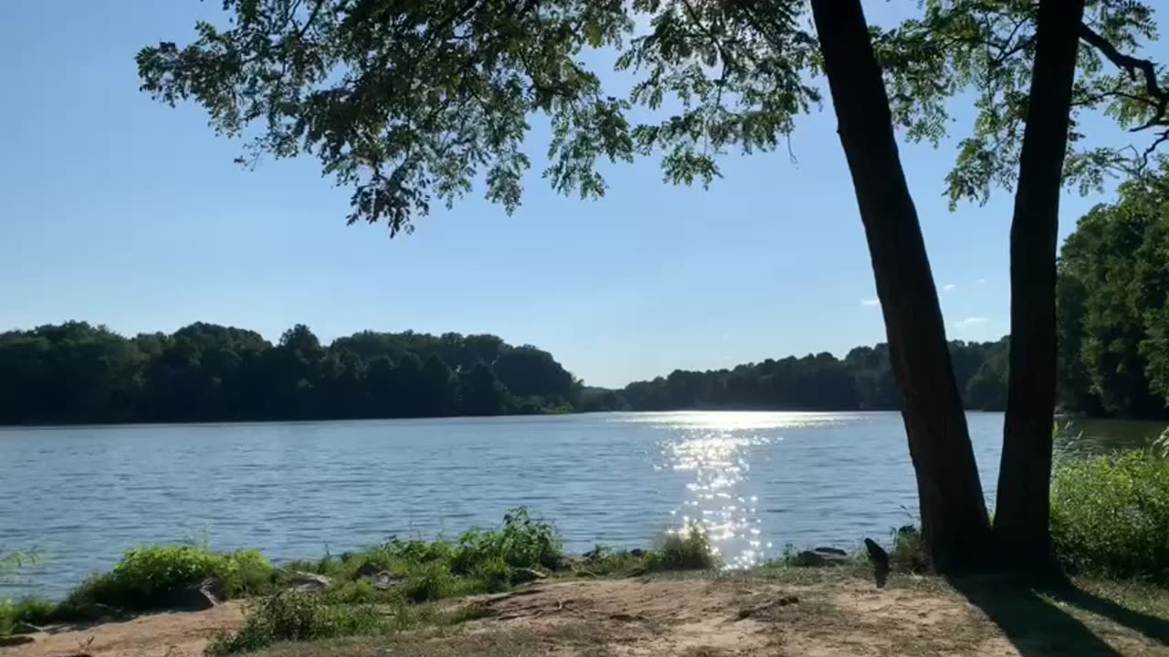 Calmness in effect.