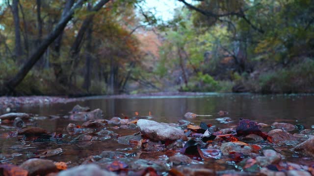 Cedar Park, TX hiking and biking trails
