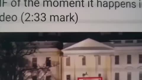 Pedo - Kids Coming Out Of White House?