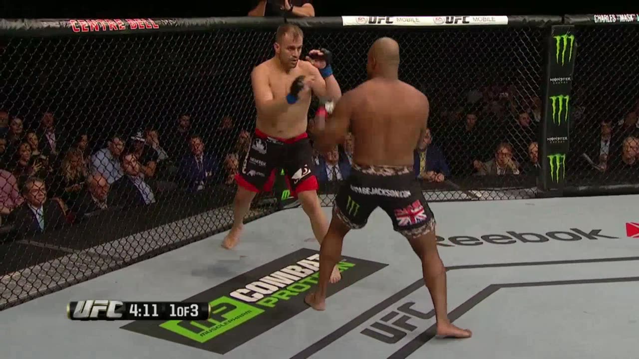 Quinton Jackson vs Fabio Maldonado