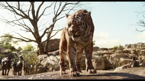 "Intro to Shere Khan" Clip - Disney's The Jungle Book