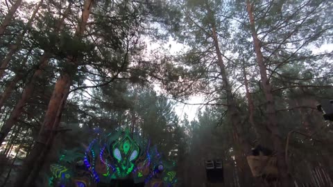 Walk in the woods during ATRIOHM doing his magic